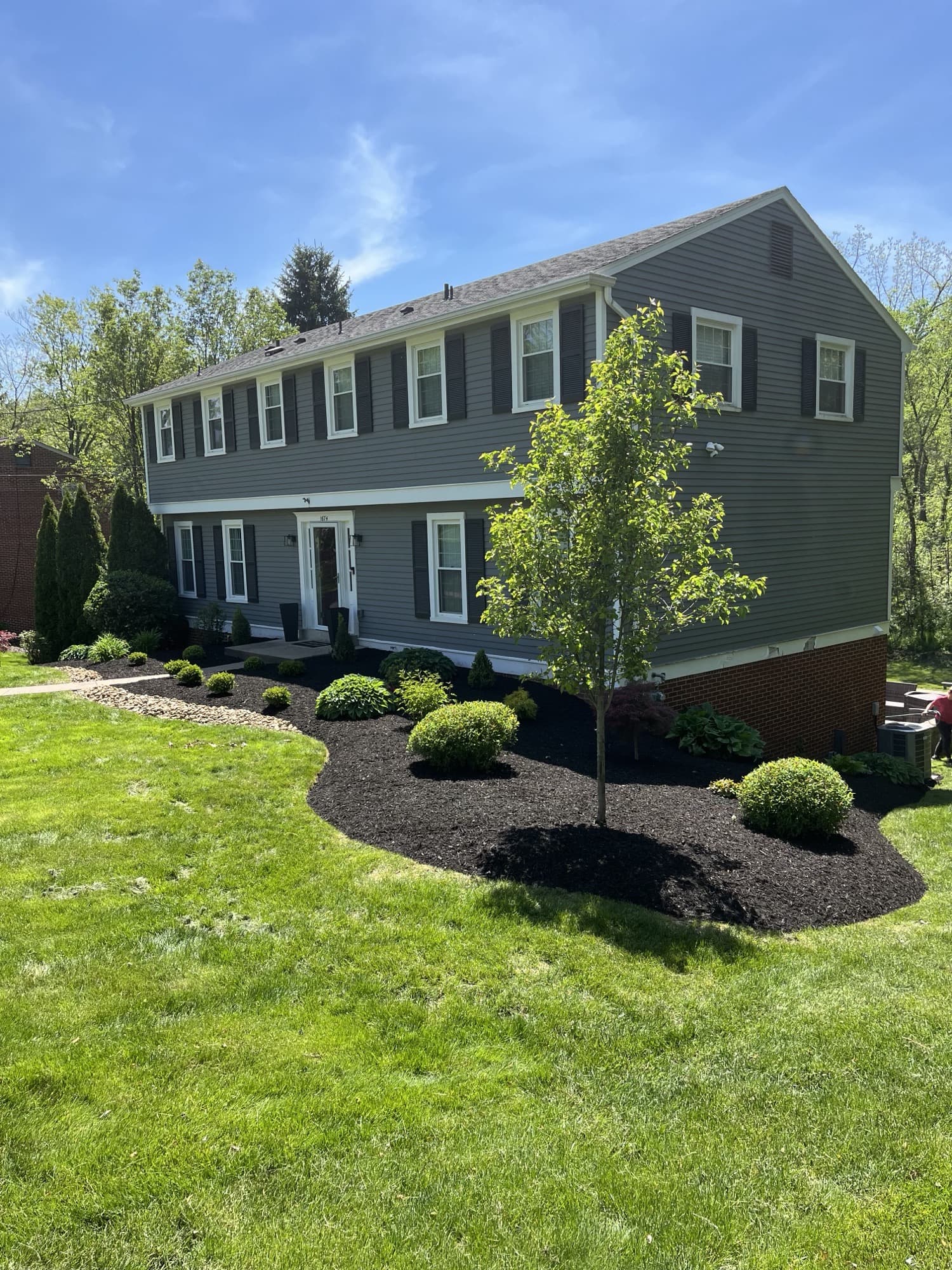 Colonial home with fresh black mulch beds and shaped shrubs
