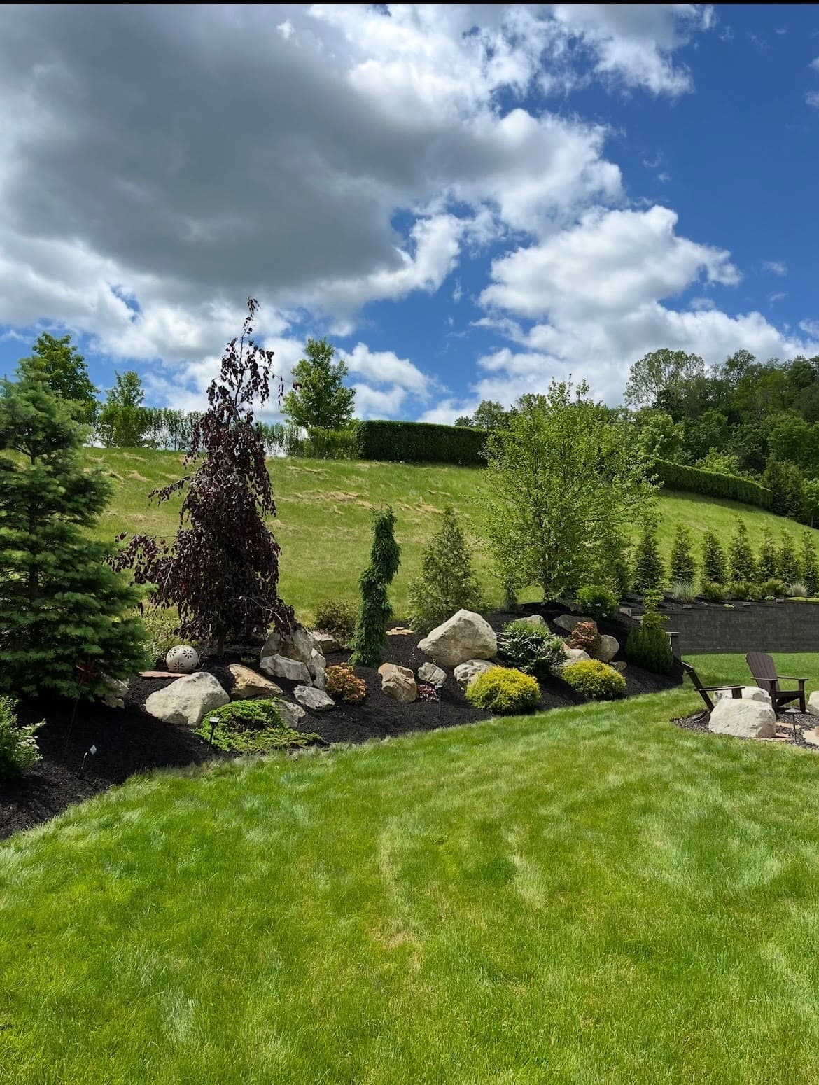 Sweeping hillside landscape design with ornamental Japanese maple