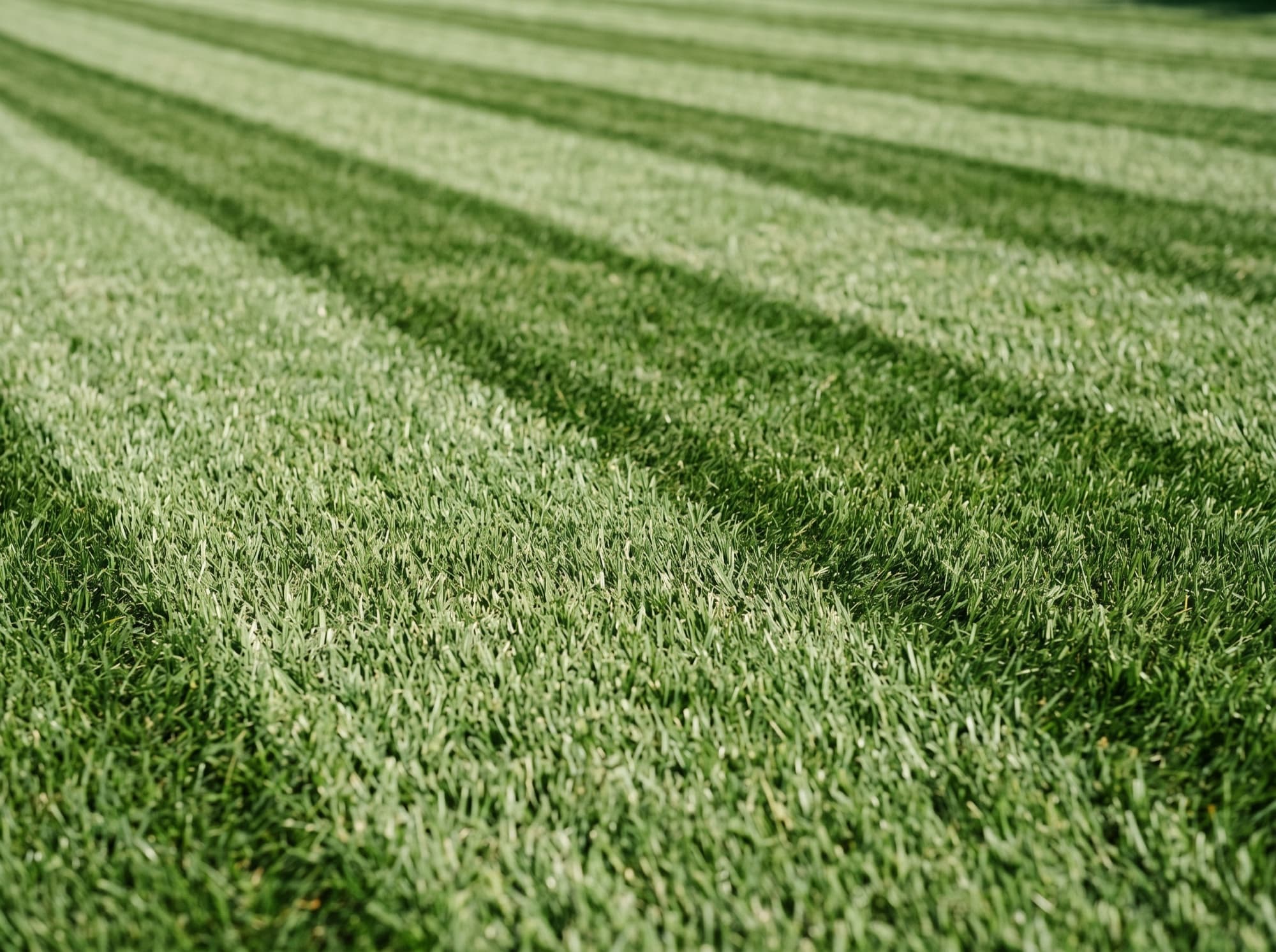 Mowing